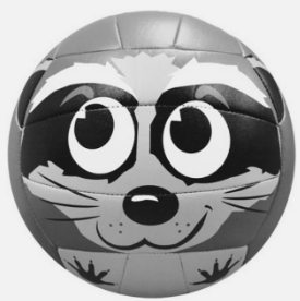 Molten Camp Ball-raccoon