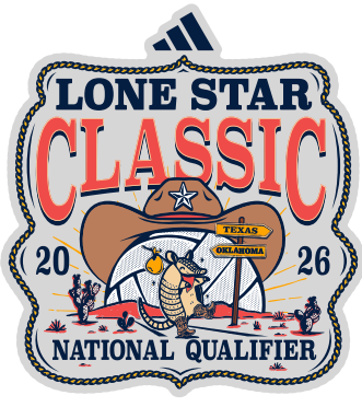 26 LSC Decal SE-Metallic Brushed Steel